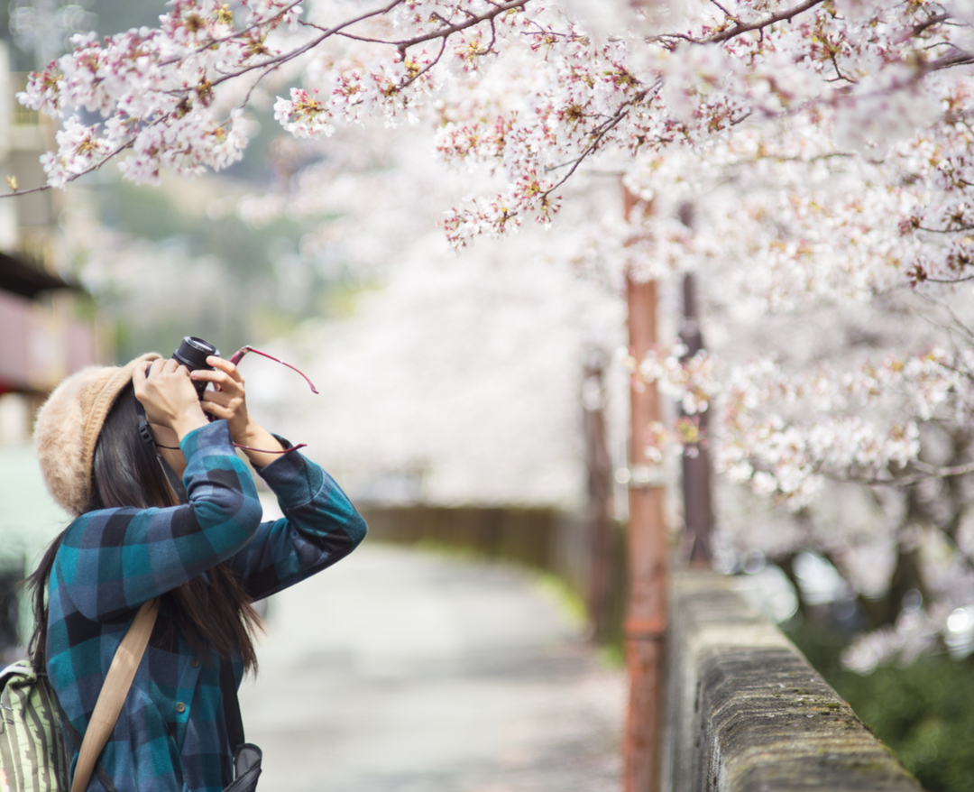 應該是以那個人在這世上「邂逅」多少人事物來衡量。