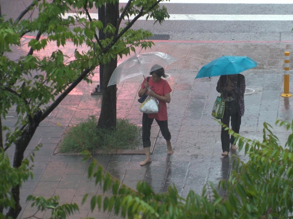 Re: [新聞] 曾文水庫缺水情況嚴峻！水位將跌破10%拉