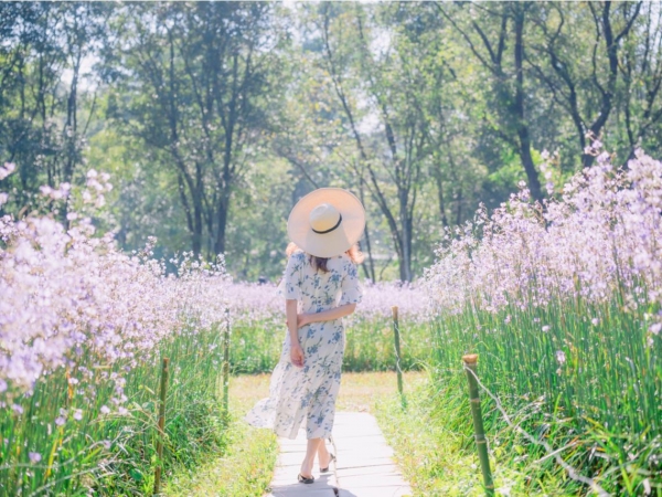 活到100歲 真的會比較快樂嗎 樹木希林 幸福要靠自己去發覺 順著年紀而活更美好