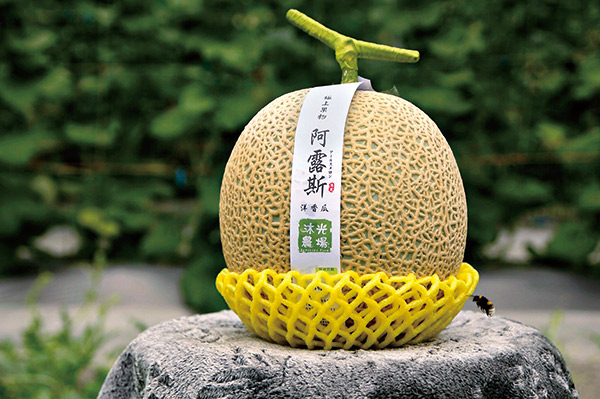 今周刊 農二代變身實驗家靠高顏值水果擄獲饕客心 今周刊
