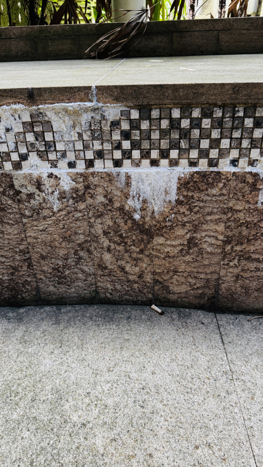 白色粉斑   代表有白華現象，像鹽巴也像黴菌，從孔隙或接縫處流出並增生，外牆變醜是一回事，也代表出現漏水口。