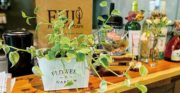 FUJI FLOWER CAFE