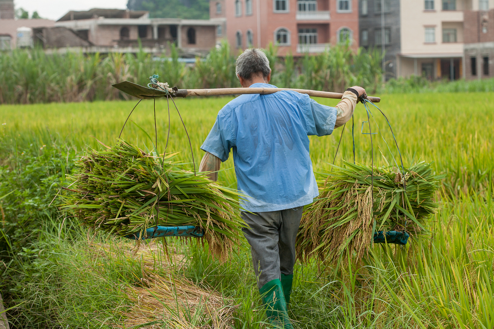 97歲爺爺沒病痛，連高血壓、糖尿病也沒有！1天生活作息曝光
