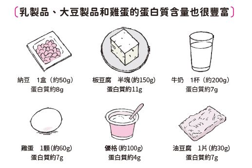 蛋白質