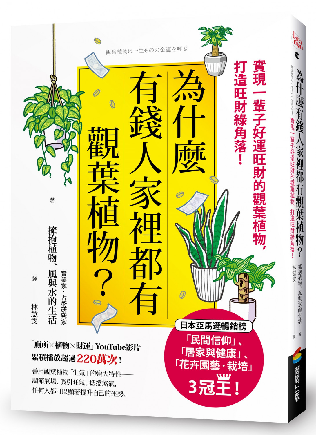 為什麼有錢人家裡都有觀葉植物?