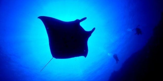 絶景すぎる幸福の崖 沖縄 果報バンタ の魅力と行きたくなる理由 リーダーズオンライン