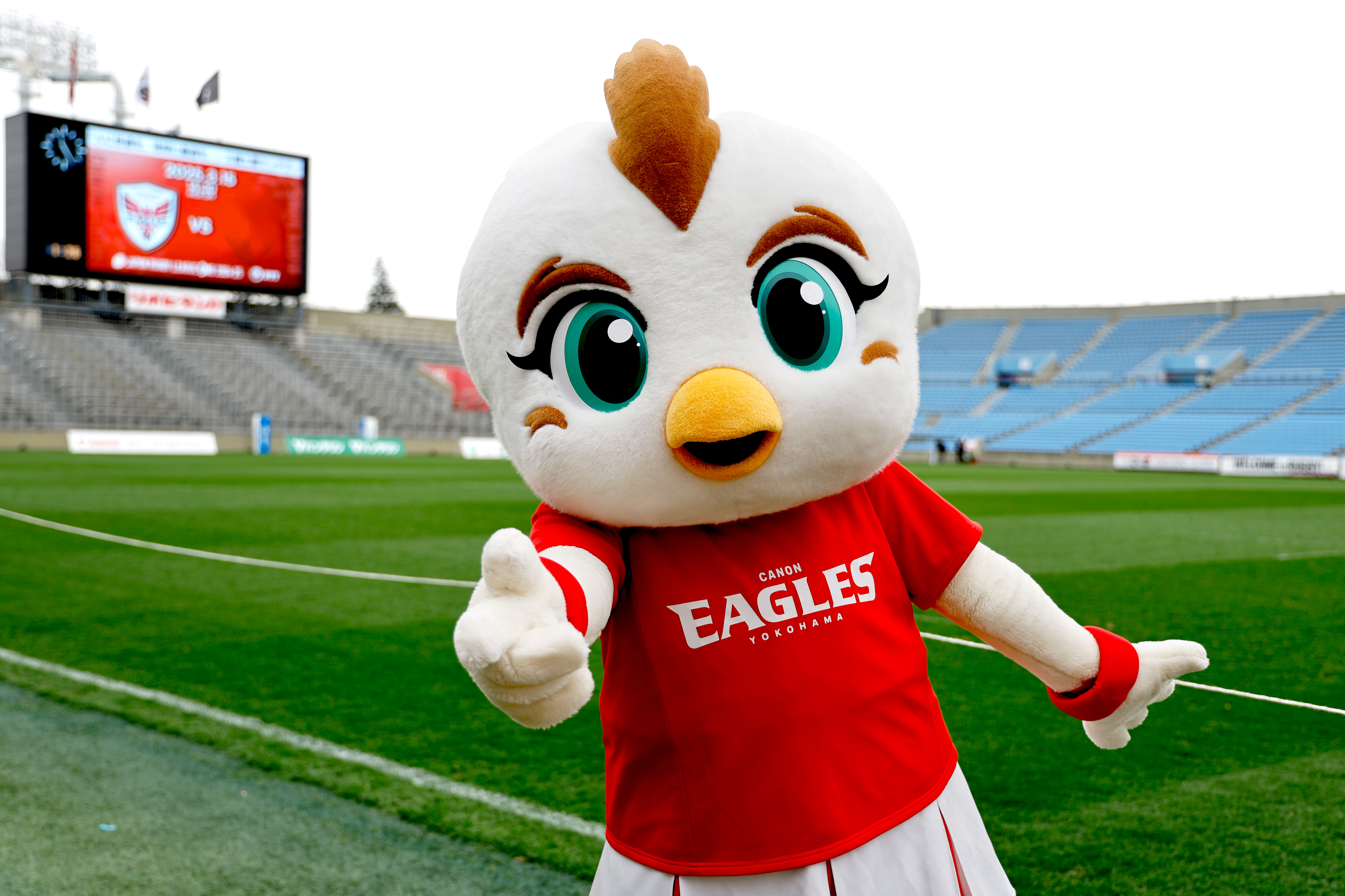 ジャパンラグビーリーグワン マスコット総選挙 2024-25』全チーム