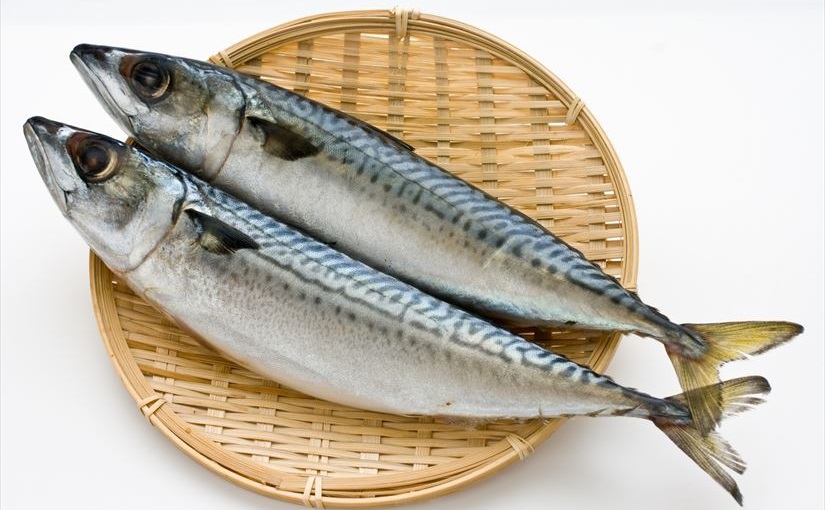 おいしい鯖を養殖するためにaiやiotが使われている Ledge Ai