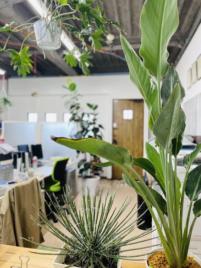 土地家屋調査士法人 川村登記測量事務所の土地家屋調査士の求人 リーガルジョブボード