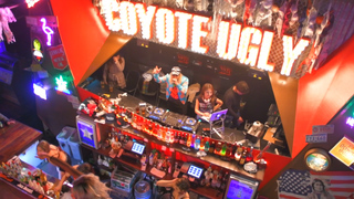 話題のエンタメバー「コヨーテアグリーサルーン」で大人女子はこう楽しむのが正解!
