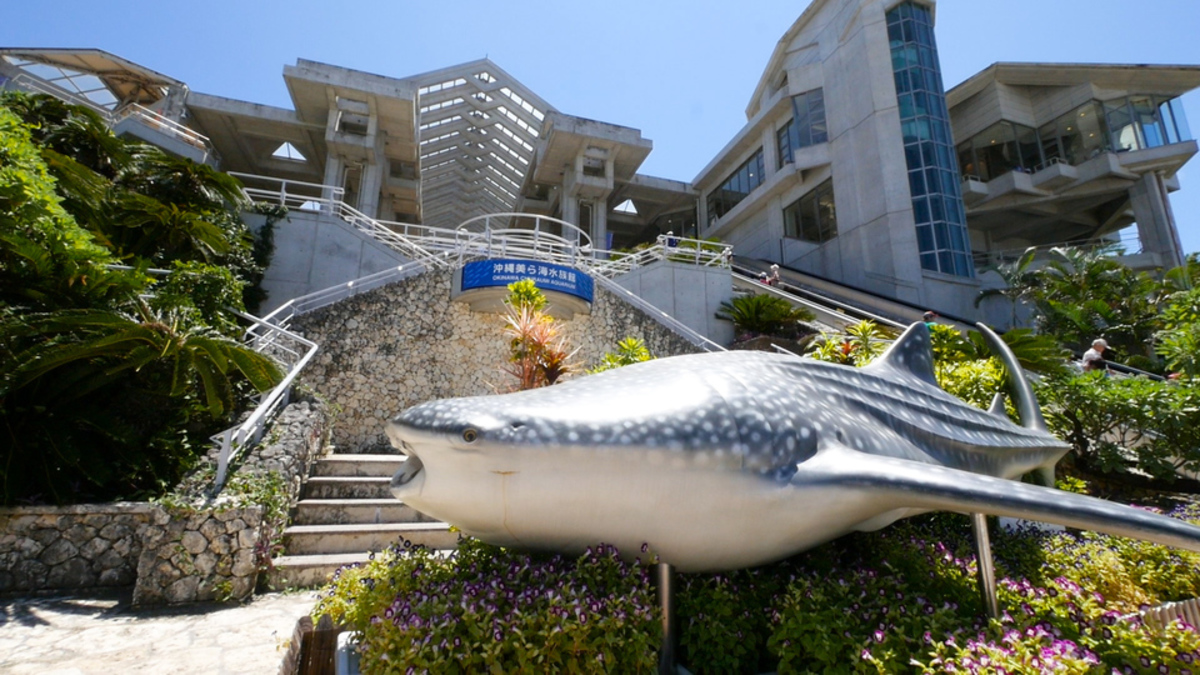 沖縄美ら海水族館