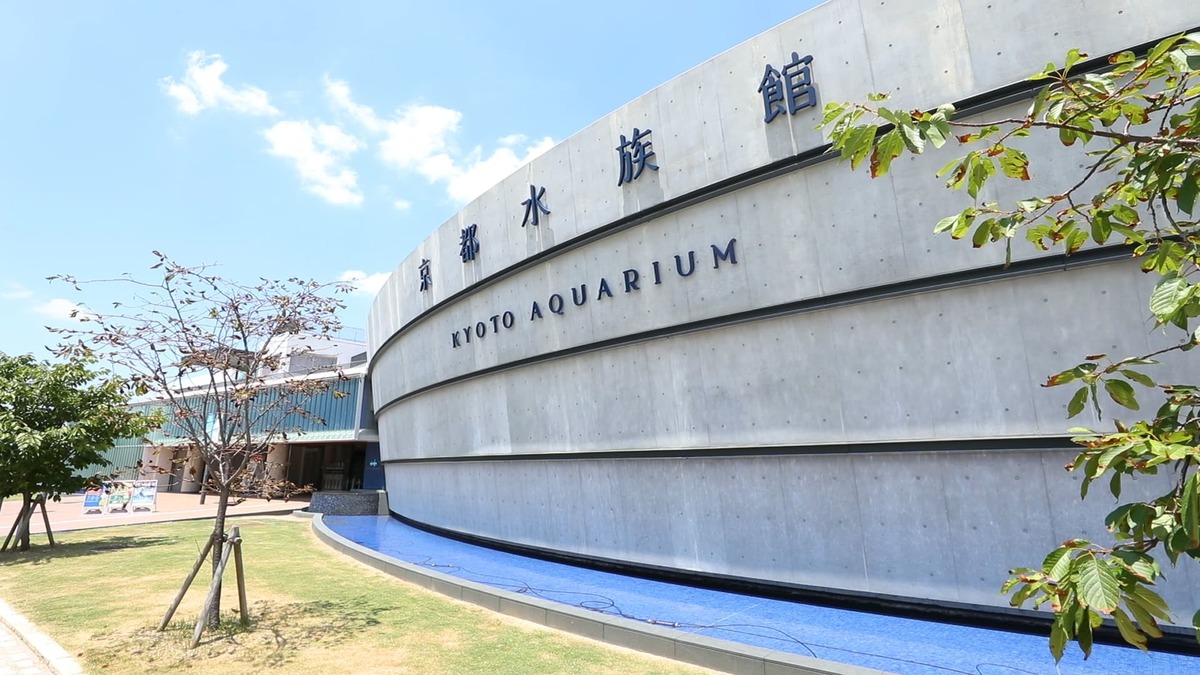 京都水族館