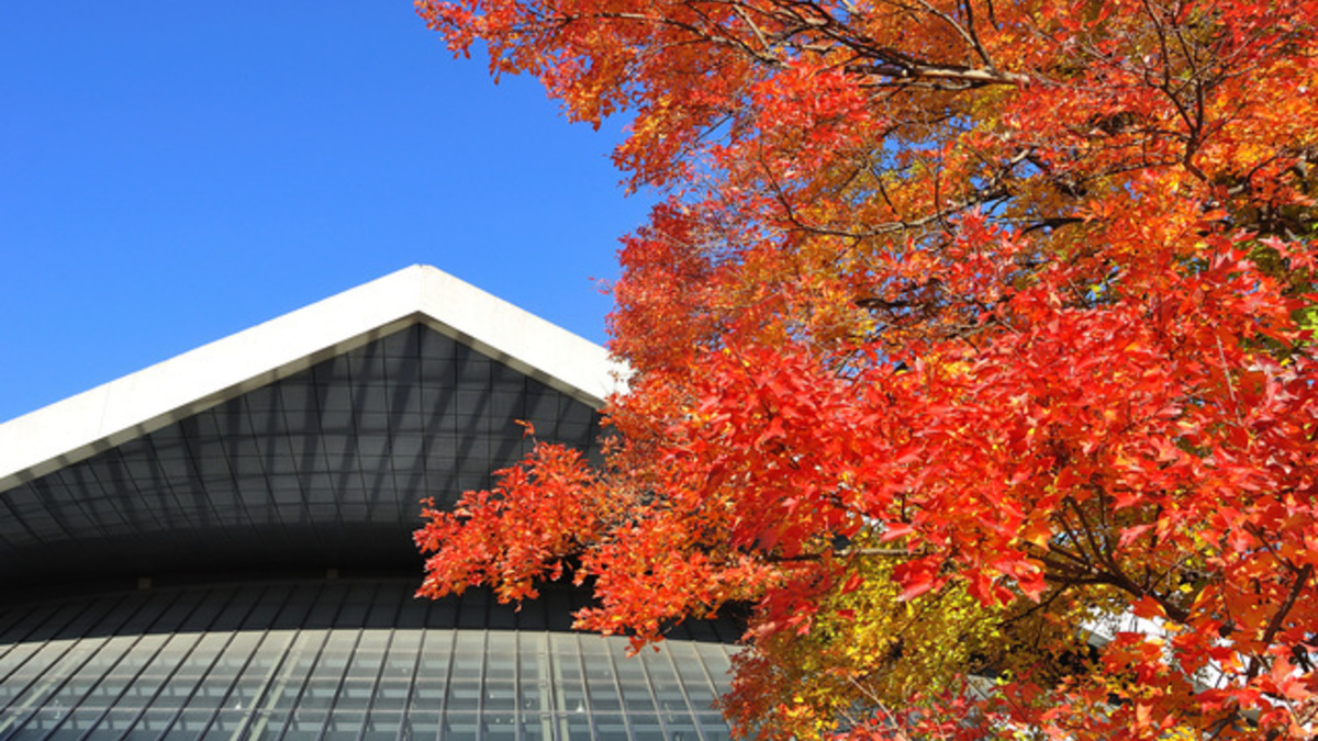 駒沢公園