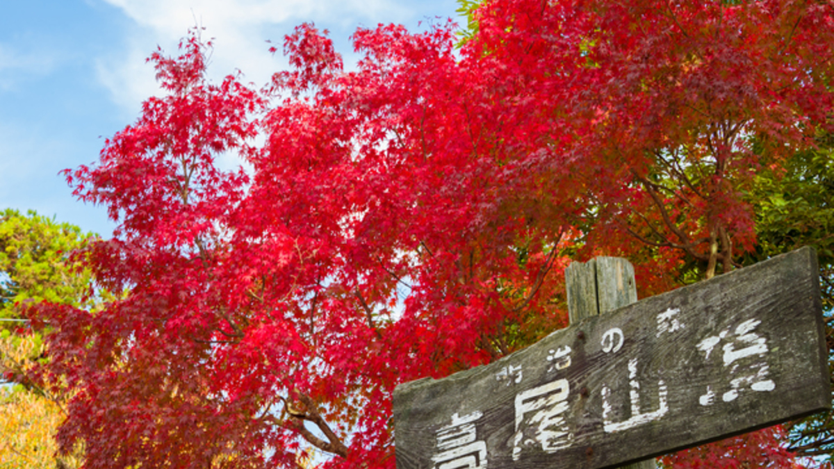 高尾山山頂