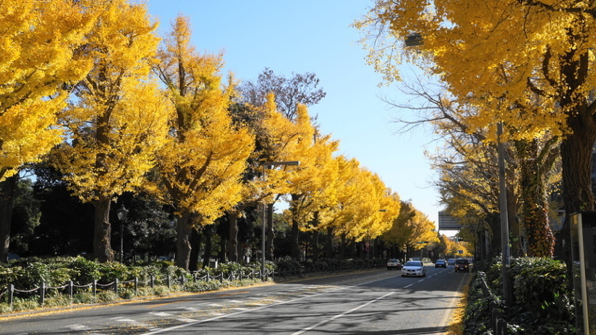 山下公園