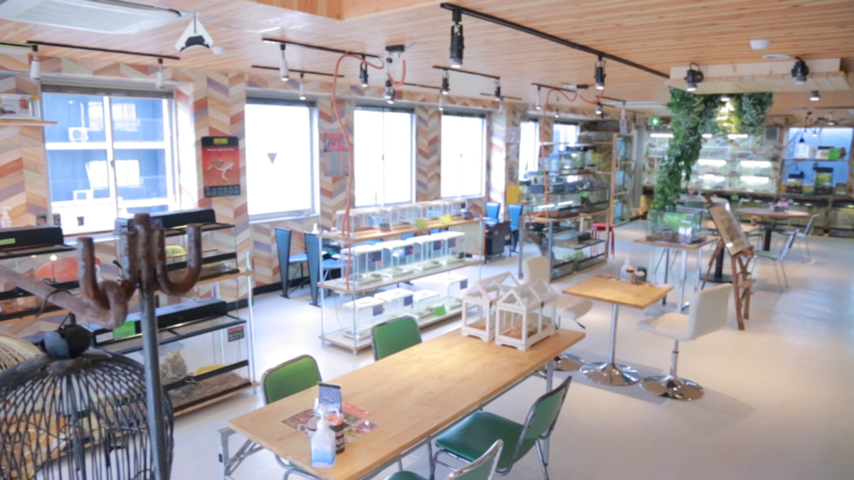 アメリカ村 スネークカフェ