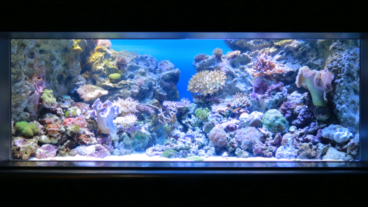 マリンワールド 海の中道