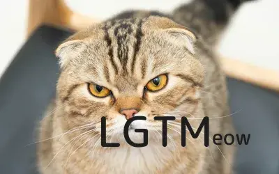 LGTM