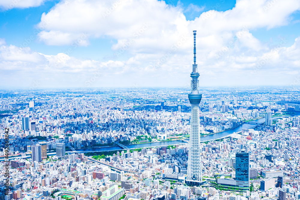 高速道路、橋、自動車、家電‥‥など毎日の生活の中で 身近・当たり前なところ　に使われています