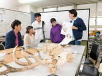 学部・学科・コース情報