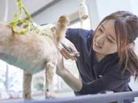 ペット総合科学部・学科・コース情報