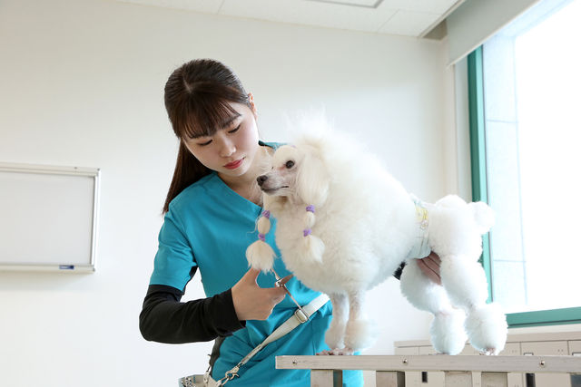 セントラル動物専門学校