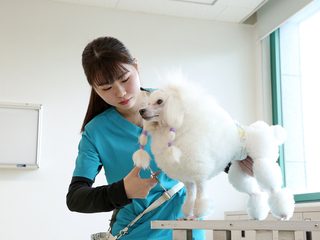 セントラル動物専門学校