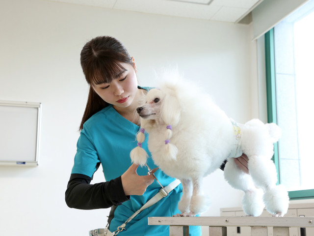 セントラル動物専門学校