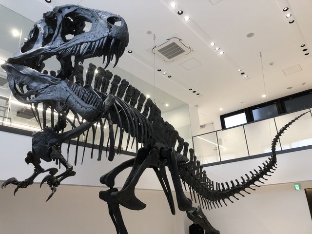 施設・設備のポイント 写真3