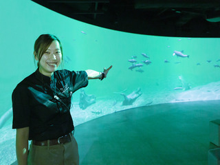 TCA東京ECO動物海洋専門学校オープンキャンパス特集1の写真