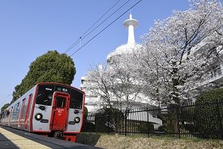 東海大学 熊本キャンパス