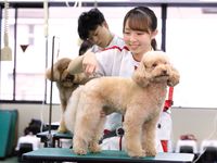 学校イメージ
