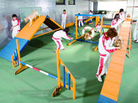 専門学校日本動物21フォトギャラリー1