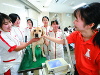 専門学校日本動物21フォトギャラリー4