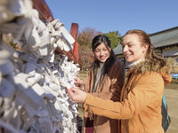 国際地域学科学部・学科・コース情報