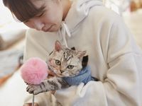 「オープンキャンパス」で学校を見て、授業を体験!!の画像