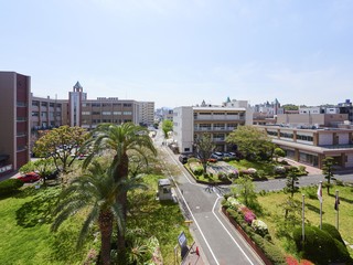 学部・学科・コース情報