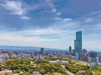学部・学科・コース情報