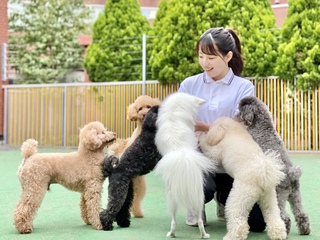 オンライン個別相談!の画像