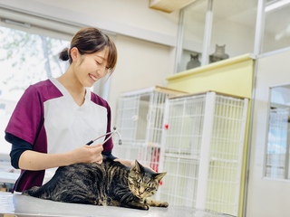  北海道エコ・動物自然専門学校からのニュース画像[3968]