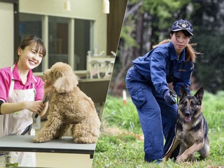 総合ペット学科 総合ペット学科