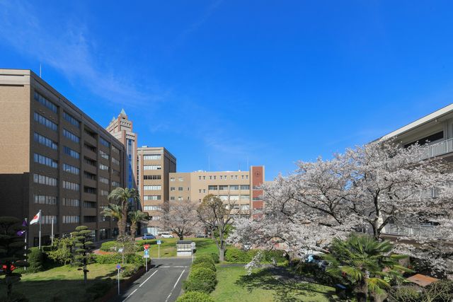 東筑紫短期大学