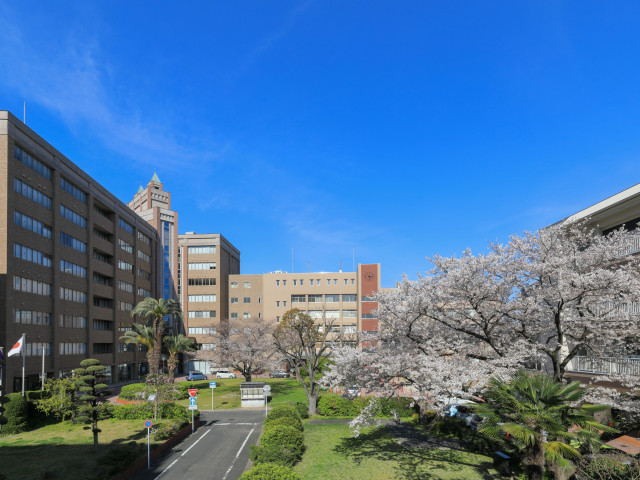 東筑紫短期大学