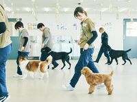 学部・学科・コース情報