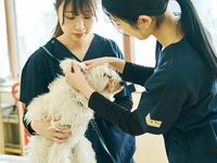動物看護専攻学部・学科・コース情報