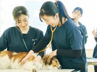 学部・学科・コース情報