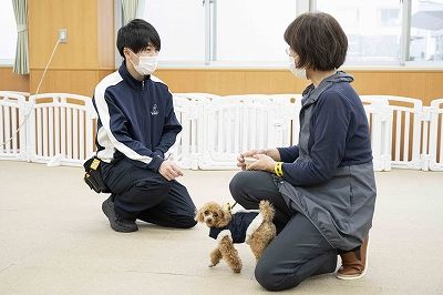 動物共生総合科 人と動物の共生を軸に業種を越えて活躍するスペシャリストに！