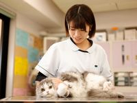 注目のカリキュラム