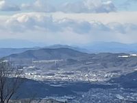 注目のカリキュラム