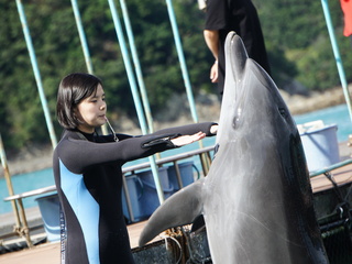 TCA東京ECO動物海洋専門学校オープンキャンパスイメージ画像